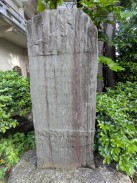 背面1