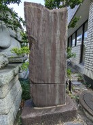 背面1