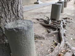 入口脇鳥居残材2