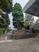 境内