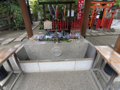 花手水(2026/5)