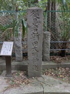 正面1