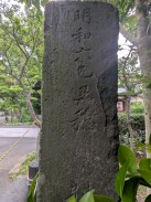 背面