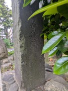 右側面