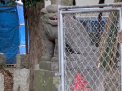 右側1