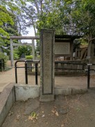 正面