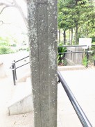 右側面