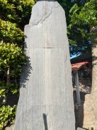 背面1