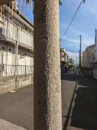 脚