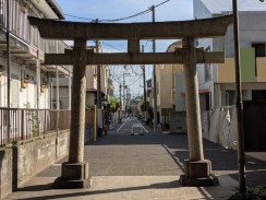 背面