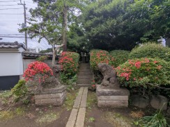 塚前の狛犬