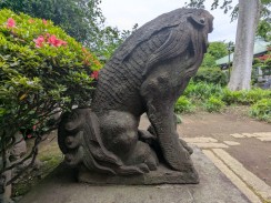 右側5
