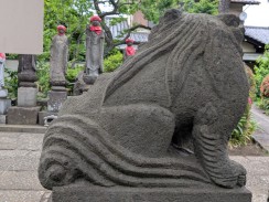 右側6