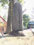 正面