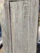 背面2